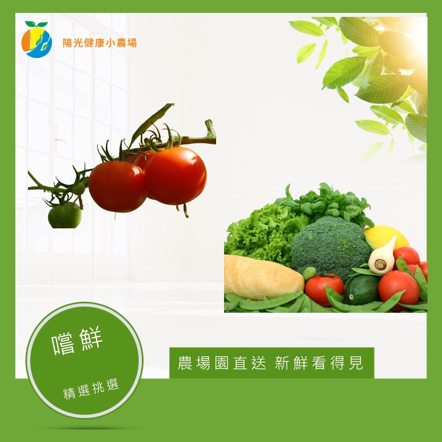 小番茄